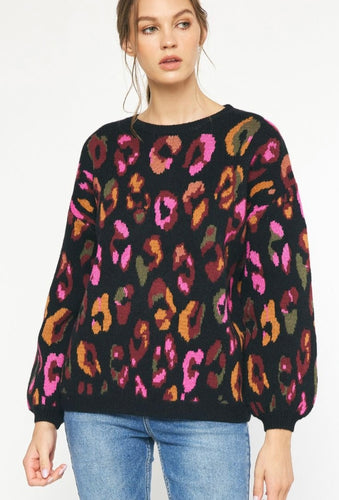 Entro Multi Colored Sweater